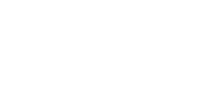 Serch Console